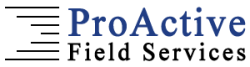 PROACTIVE FIELD SERVICES